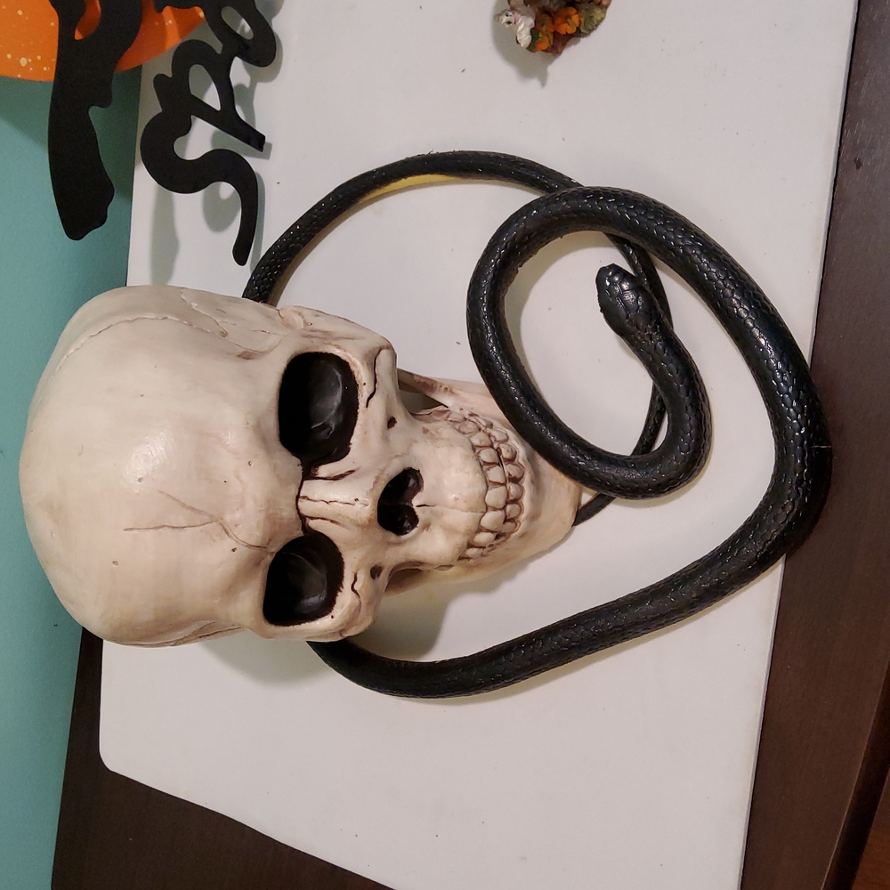 Spooky Bundle - Picture 3 of 7
